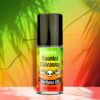 Haunted Hideaway Perfume Oil